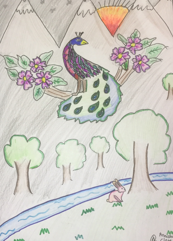 2nd Grade Archives | Art drawings for kids, Peacock drawing, Easy art for  kids